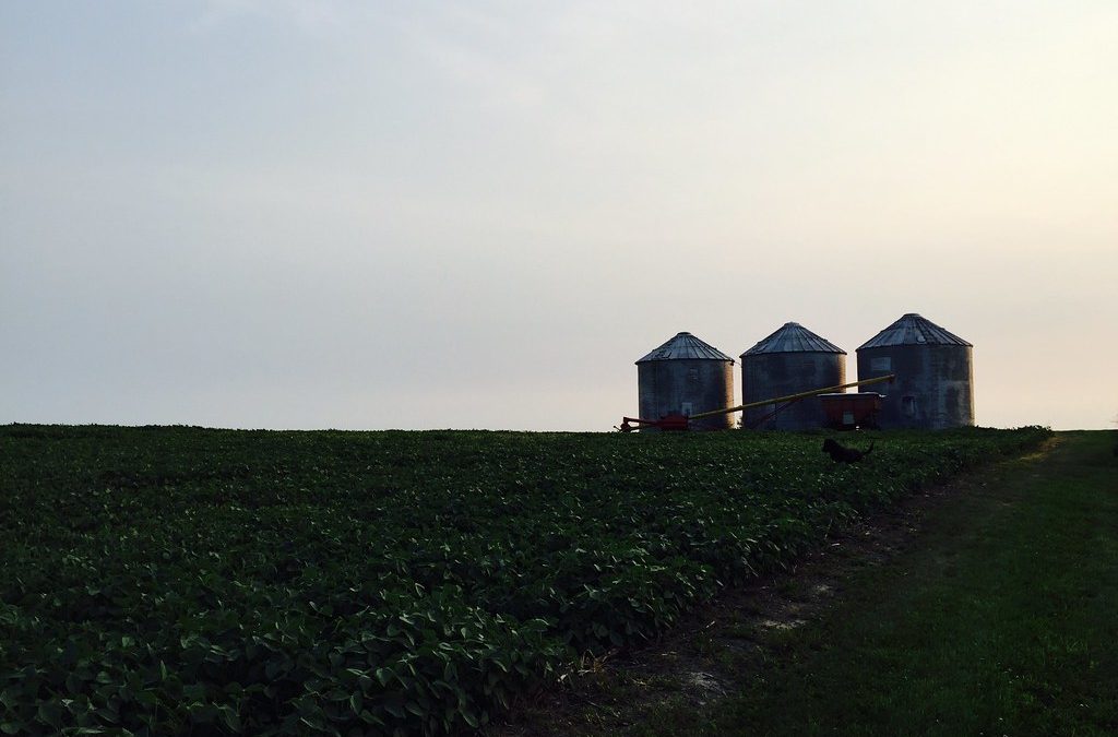 Practical Farmers of Iowa Field Day at the Rosmann Family Farm in Harlan