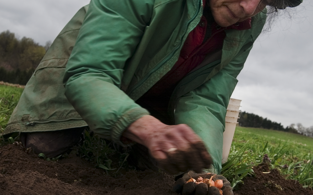 Peacework Farm