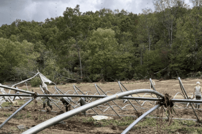 destroyed greenhouse